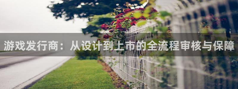 ag街机官网注册方法：游戏发行商：从设计到上市的全流程审核与保障