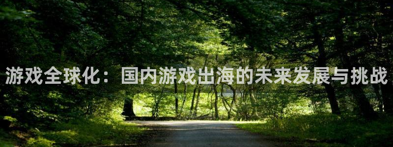 ag街机啤酒怎么样：游戏全球化：国内游戏出海的未来发展与挑战