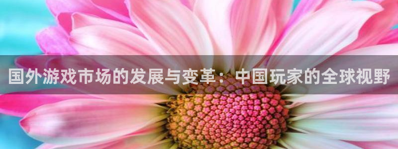 ag街机品牌logo：国外游戏市场的发展与变革：中国玩家的全球视野