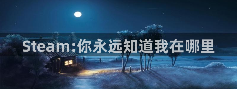 ag街机电子商务有限公司怎么样：Steam:你永远知道我在哪里