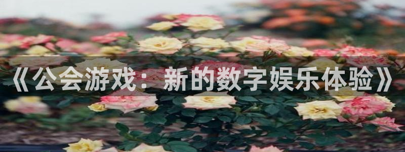 ag街机子公司怎么样：《公会游戏：新的数字娱乐体验》