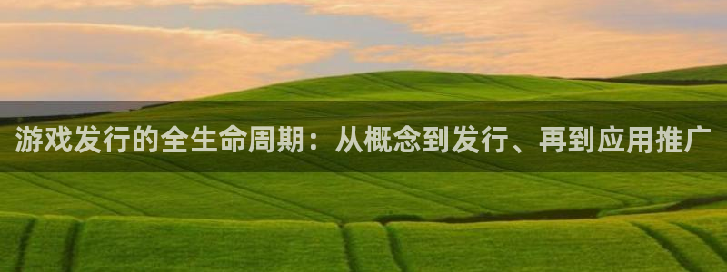 ag街机官网平台代理开号是真的吗：游戏发行的全生命周期：从概念到发行、再到应用推广