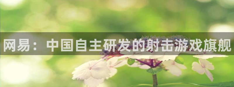 ag街机衣服怎么样