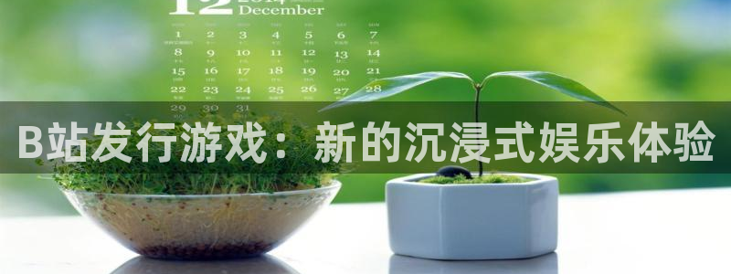 ag街机官网注册平台是什么公司：B站发行游戏：新的沉浸式娱乐体验